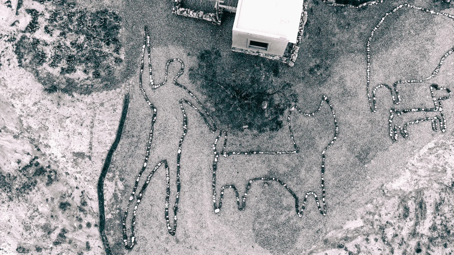 Praxis - Foto 1