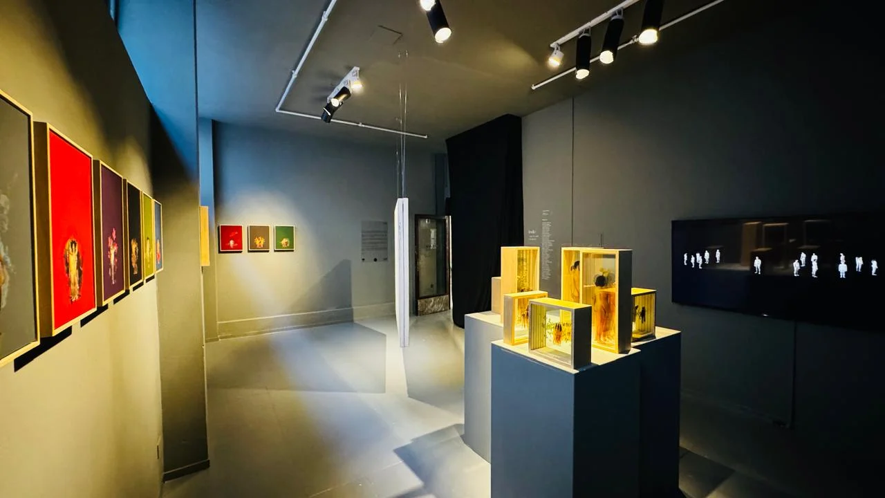 Wunsch Gallery - Foto 3