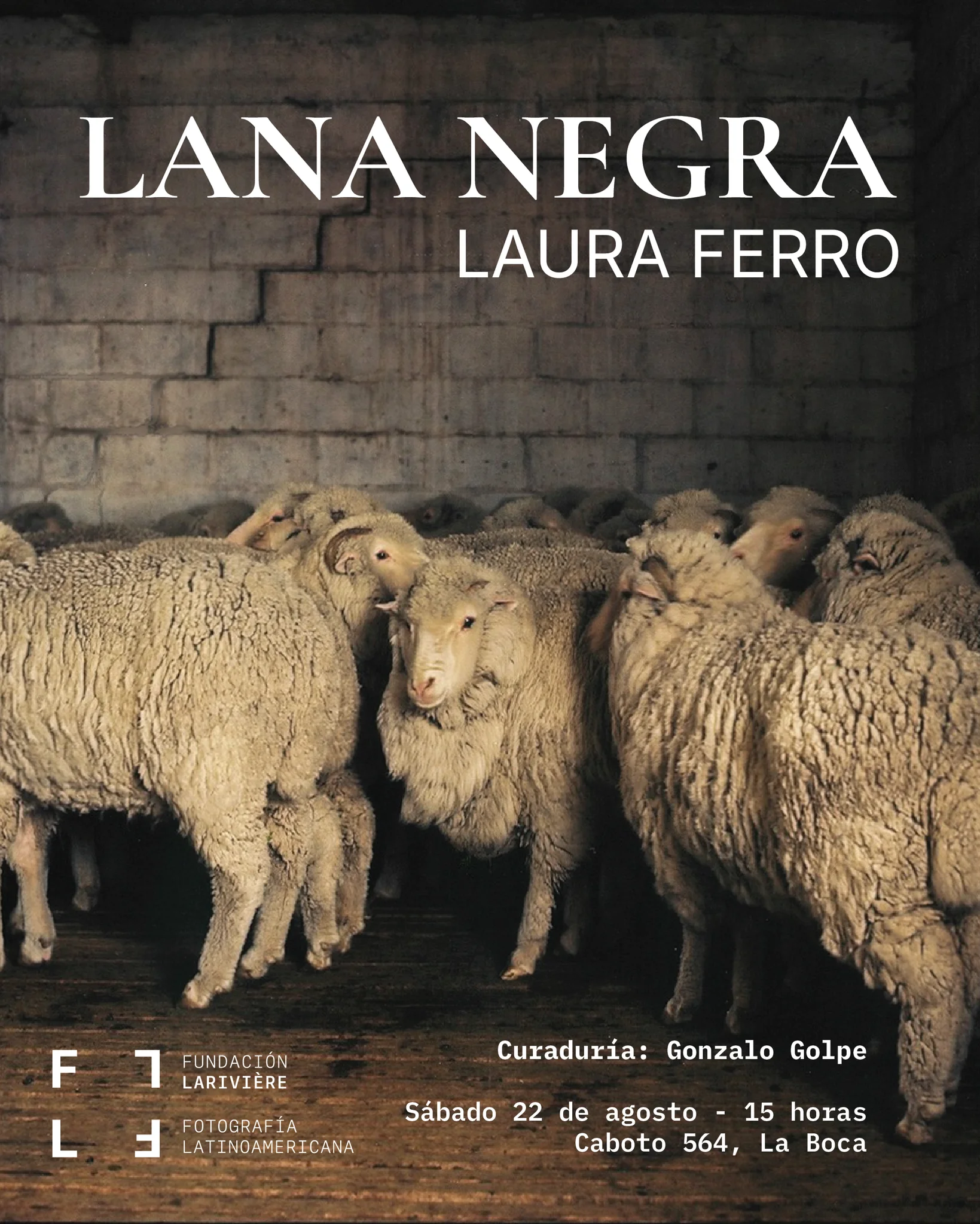 Lana negra - Laura Ferro