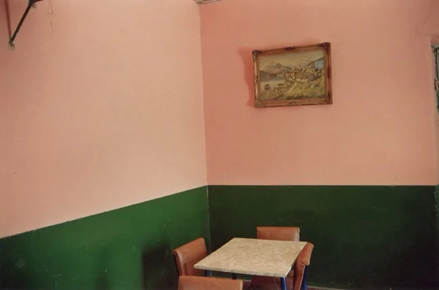 Alberto Goldenstein, Diario del Norte (1992)