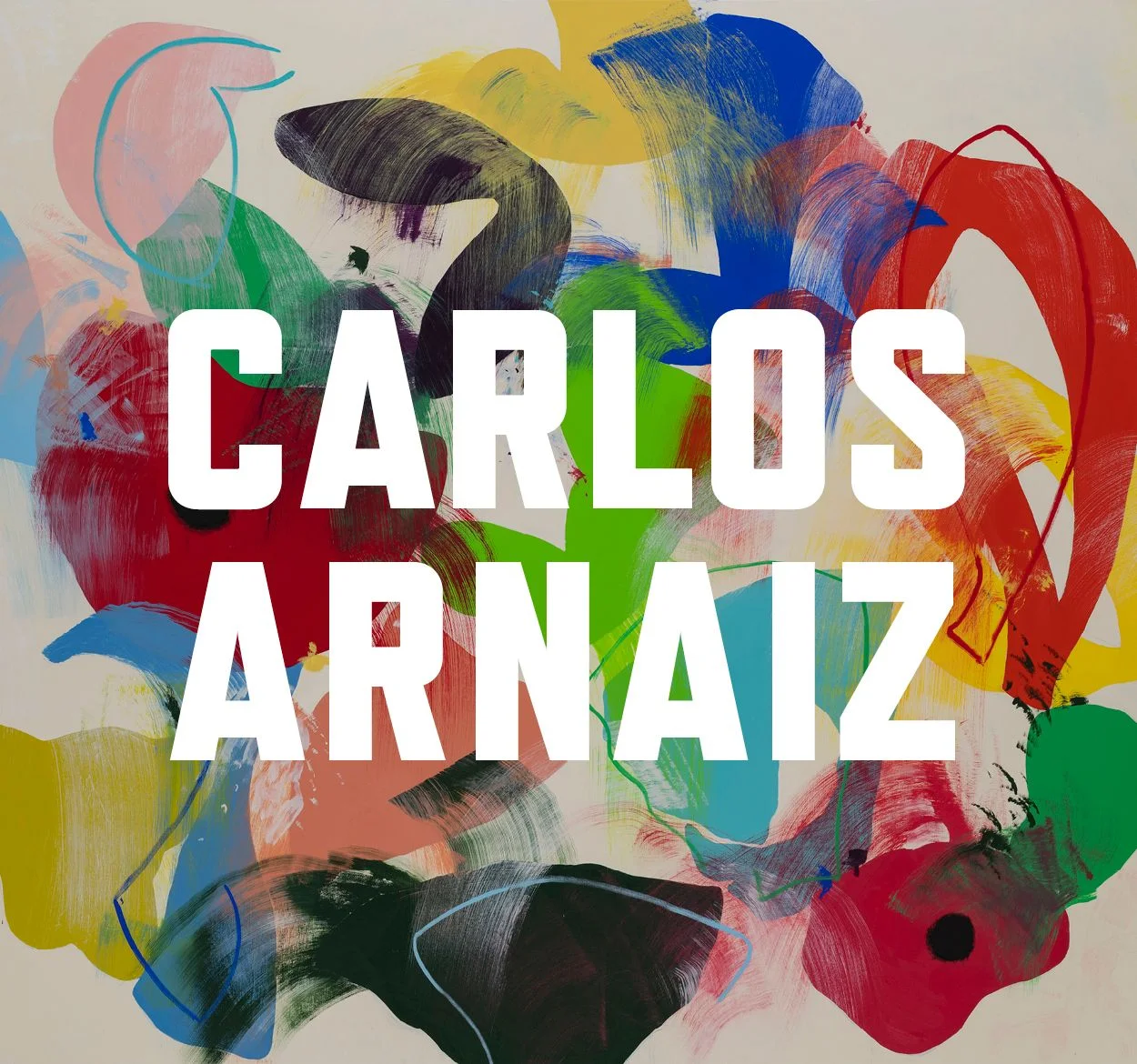 Carlos Arnaiz - Obra Reciente